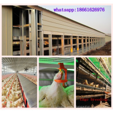 Poultry Farming Equipment in Chicken House One Stop Service 2016